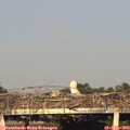 19_15-mast.jpg