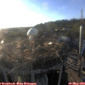 19_30-nest.jpg