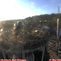 19_35-nest.jpg