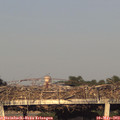 19_40-mast.jpg