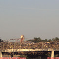 19_50-mast.jpg