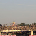 19_55-mast.jpg