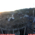 20_45-nest.jpg