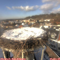 14_00-nest.jpg