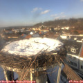 13_55-nest.jpg