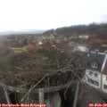 15_00-nest.jpg