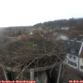 16_05-nest.jpg