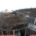 14_00-nest.jpg