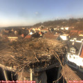 15_05-nest.jpg