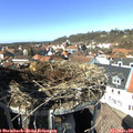 13_20-nest.jpg