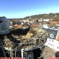 13_25-nest.jpg
