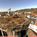 14_10-nest.jpg