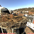 14_15-nest.jpg