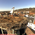 14_25-nest.jpg