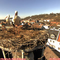 14_30-nest.jpg