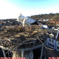 17_00-nest.jpg