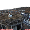18_00-nest.jpg