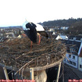 07_00-nest.jpg