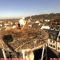 09_20-nest.jpg
