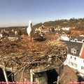 13_05-nest.jpg