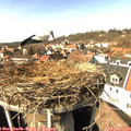 14_15-nest.jpg