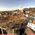 14_20-nest.jpg