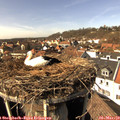 14_25-nest.jpg