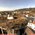 14_30-nest.jpg