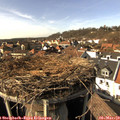 15_00-nest.jpg