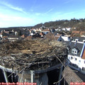 15_05-nest.jpg