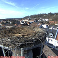 15_10-nest.jpg