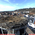 15_15-nest.jpg