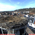15_20-nest.jpg
