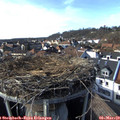 15_35-nest.jpg