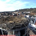15_50-nest.jpg