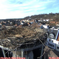 15_55-nest.jpg