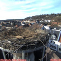 16_00-nest.jpg