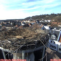 16_05-nest.jpg
