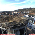16_15-nest.jpg