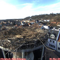 16_35-nest.jpg