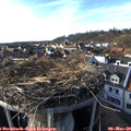 16_40-nest.jpg