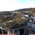 17_00-nest.jpg