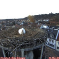 18_05-nest.jpg