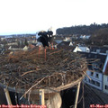 07_05-nest.jpg