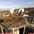 08_55-nest.jpg