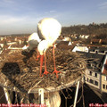 09_15-nest.jpg