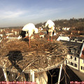 09_35-nest.jpg