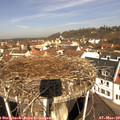 10_45-nest.jpg