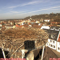 11_05-nest.jpg