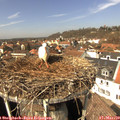 13_15-nest.jpg